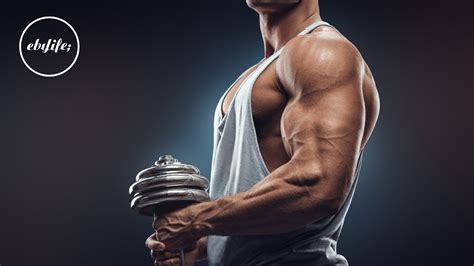 Clean Bulking: How To Avoid Gaining Fat When Bulking.